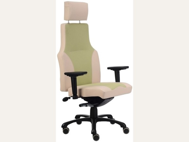 ERGO 24